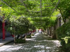 -渭南桃花源民俗文化园