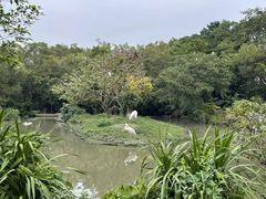 -广州长隆飞鸟乐园