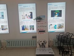 -北京观赏动物医院·24小时大型综合·猫专科·异宠专科