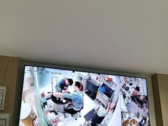 -鼎级派宠物(中南店)