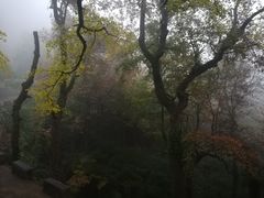 -南岳衡山风景名胜区