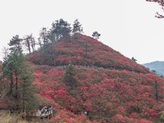 -木兰云雾山