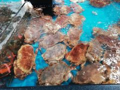 -盒马鲜生(曜一城店)