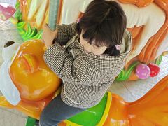 -昆山城市生态森林公园