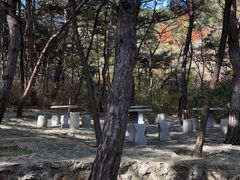 -金龙寺国家森林公园