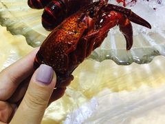 -怪怪龙虾·澳洲蓝龙王·深夜食堂(惊驾路店)