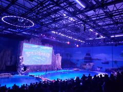 -华夏文旅海洋公园