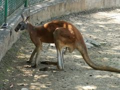 -西安秦岭野生动物园