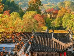 -塔川景区