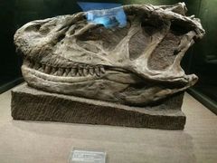 -自贡恐龙博物馆