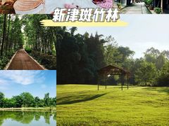 -两河城市森林公园