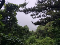 -鲁山国家森林公园