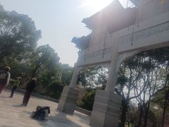 -南汇桃花村