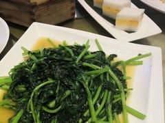 -锦粤宫·精致粤菜(深圳北站店)