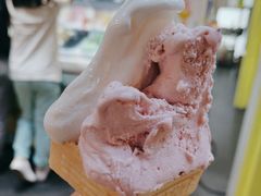 -柠檬车露(卖草地店)