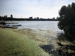 -长春市南湖公园