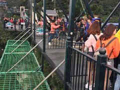 -梦幻奥陶纪景区