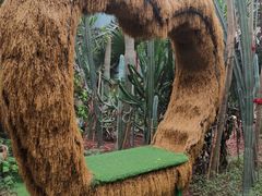 -呀路古热带植物园