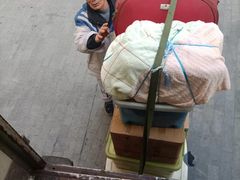 -蚂蚁搬家成都打包搬运公司