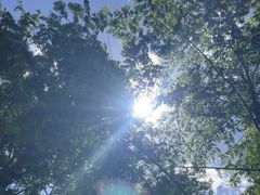 -白水寺森林公园