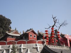 -玉泉观