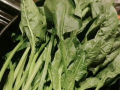 -捞王猪肚鸡火锅(财富中心店)