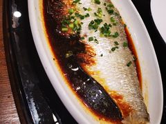 鲥鱼-锡和无锡菜(景丽苑店)