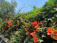 -荒岛书店(黄县路店)