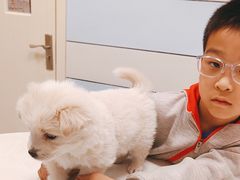 -中农国际动物医院24小时·猫科·骨科·急重症中心
