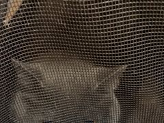 -宠福鑫动物医院(城北分院)
