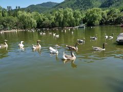 -西安秦岭野生动物园