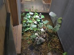 -邈墨茶馆(凤起路店)