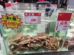 -万龙洲海鲜(大兴绿地缤纷城店)