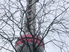 -东方明珠广播电视塔