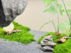 -隅乐胡椒虾·台湾菜·团建(皇岗店)