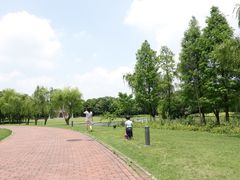 -上海佘山世茂艾美酒店