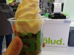 -Salud撒露欧洲冻酸奶(蓝色港湾店)