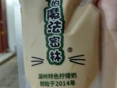 -猫的魔法密林(衣裳街店)