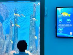 -福州罗源湾海洋世界旅游区