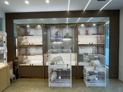 -翊宠yipet猫狗购宠庄园犬舍•猫舍