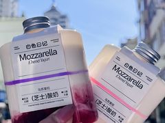 -白色日记·手作酸奶(麦凯乐店)