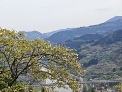 -舒家湾天主教堂