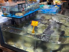 -紫腾大院·南京菜(江宁店)