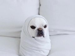 -唐晋人家(源深路店)