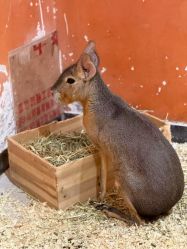 -Zoolung Zoolung动物主题公园(海信广场店)