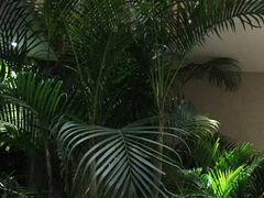 -小隐足道·按摩·主题SPA馆(西红门店)