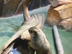 -华夏文旅海洋公园