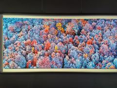 -罗红摄影艺术馆