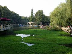 鲁迅公园-鲁迅公园