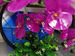 -红透天牛排海鲜自助(长和国际直营店)